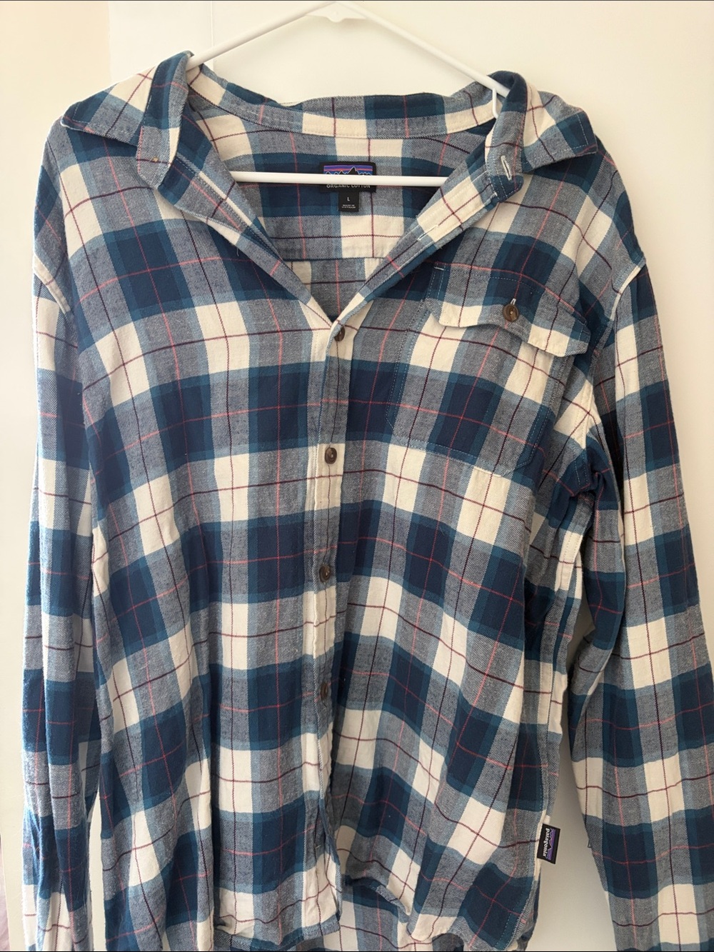 Patagonia Blue, White & Red Plaid Men's Button-Down Shirt